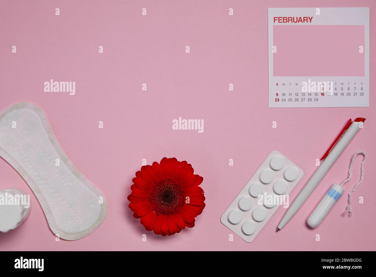 menstrual sanitary tampon, pad, pain pills during menstruation and red flower on pink background