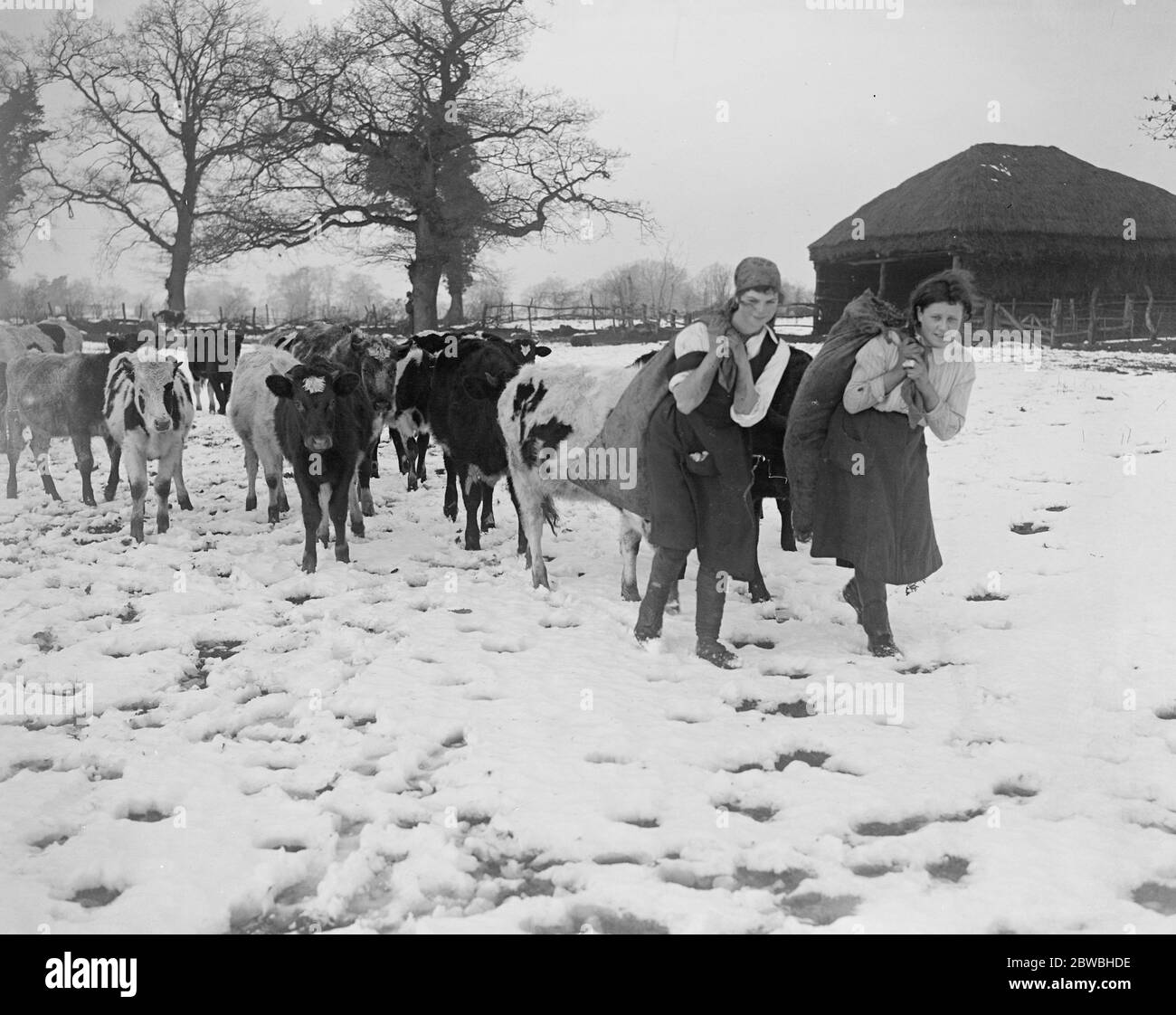 Girl Land workers in the snow at Thetford , Norfolk 19 January 1918
