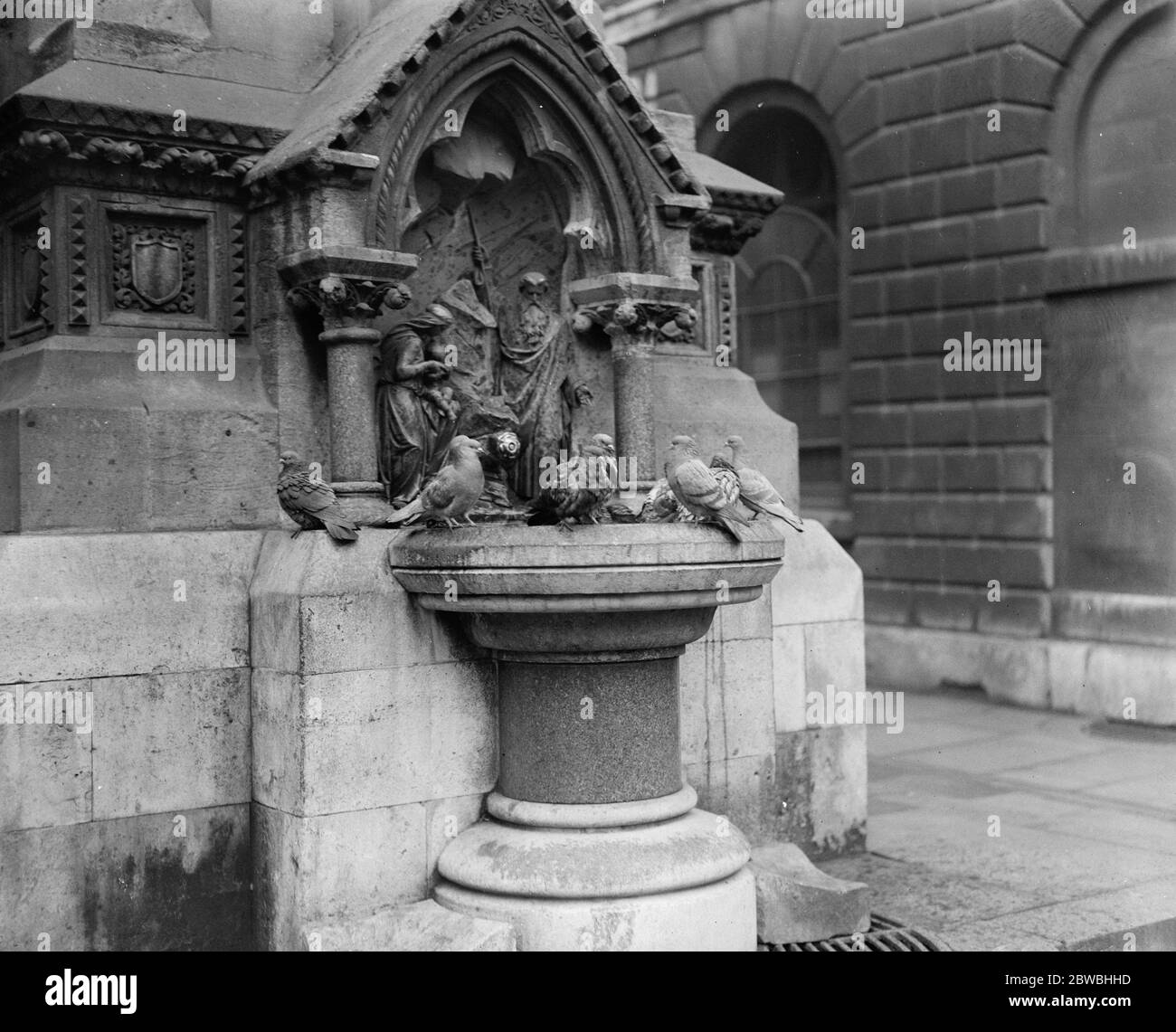Art and nature meet in a city idyll Pigeons cluster about the antique basin of the fine old fountain in Guildhall Yard 16/02/1921 Stock Photo