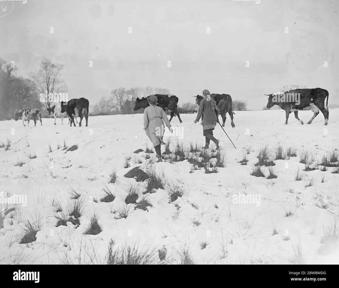 Girl Land workers in the snow at Thetford , Norfolk 19 January 1918