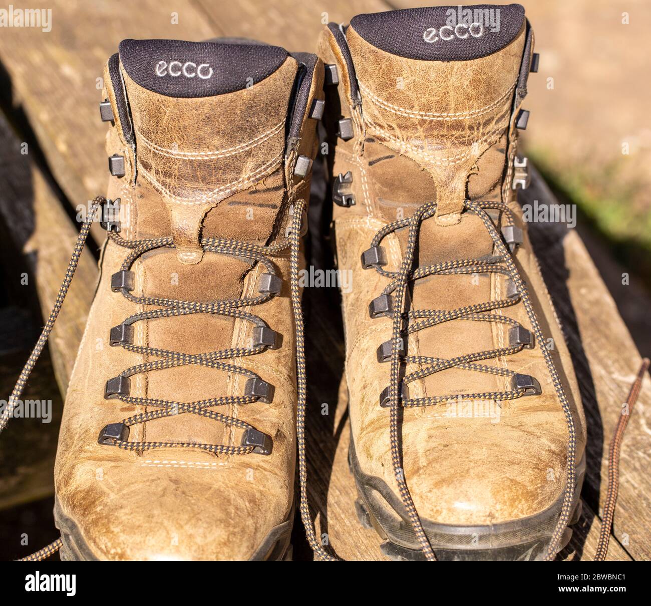 Ecco shoes hi res stock photography and images Page 2 Alamy