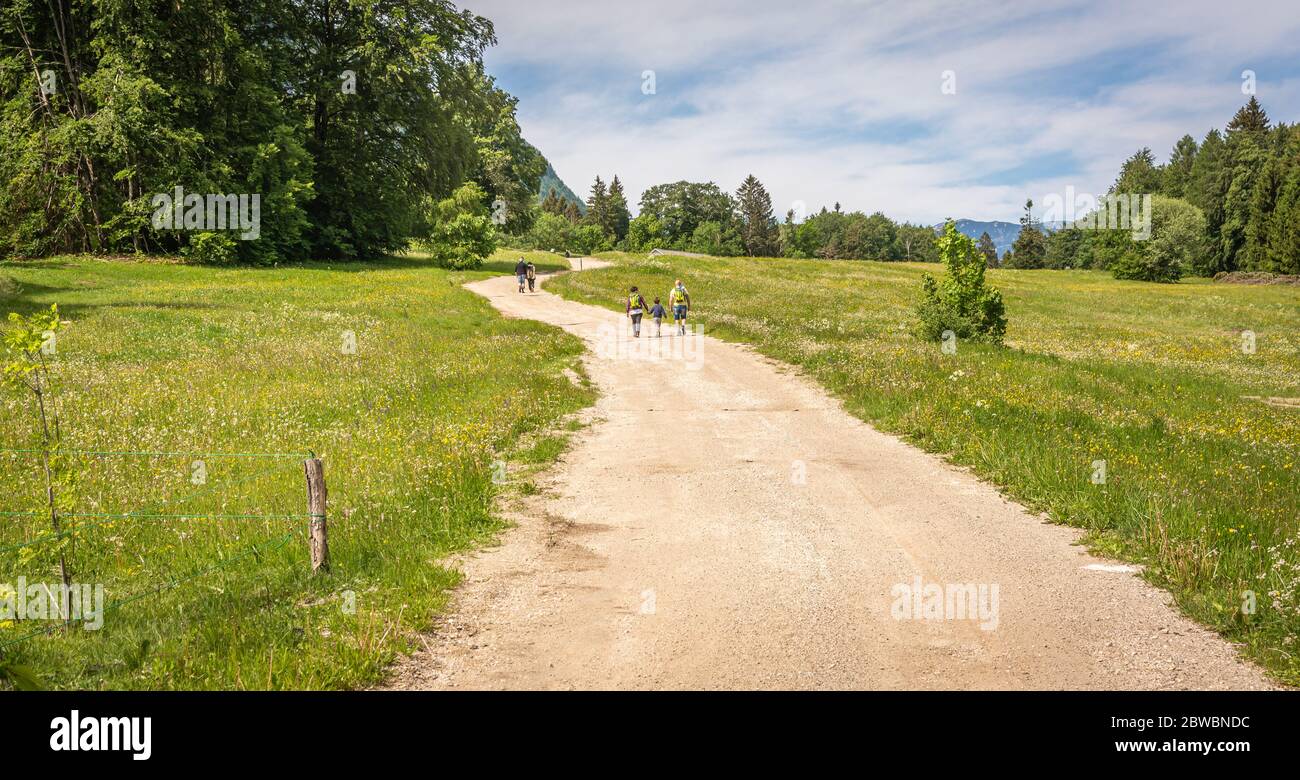 People walking up the path to the Arte Natura route, Malga Costa, Borgo Valsugana, northern Italy - Europe Stock Photo