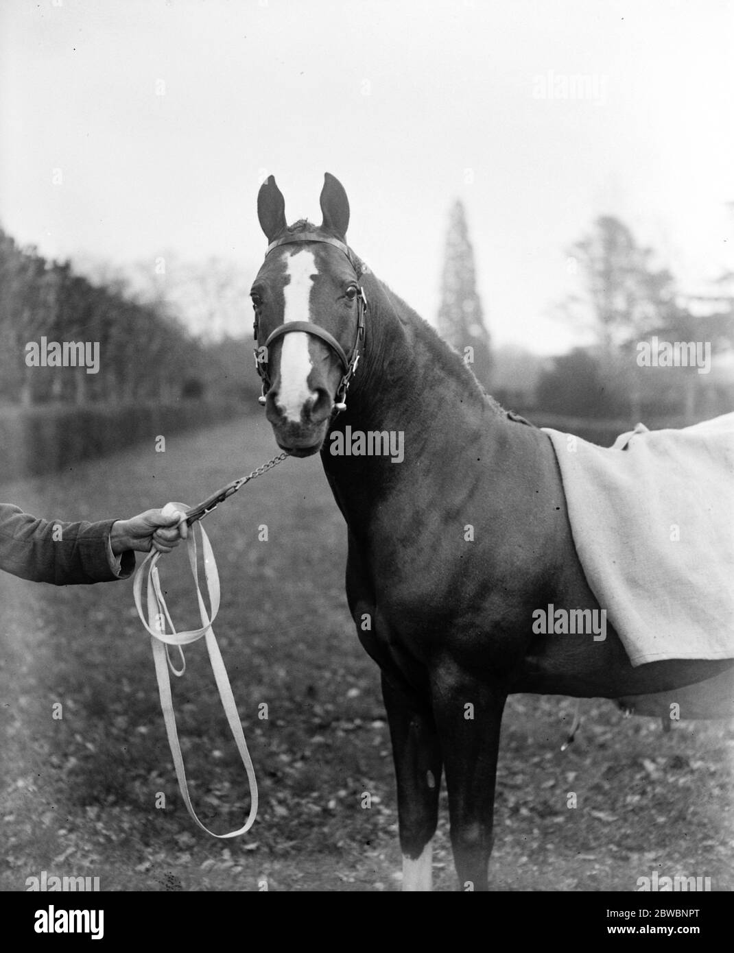 Wentworth park estate hires stock photography and images Alamy