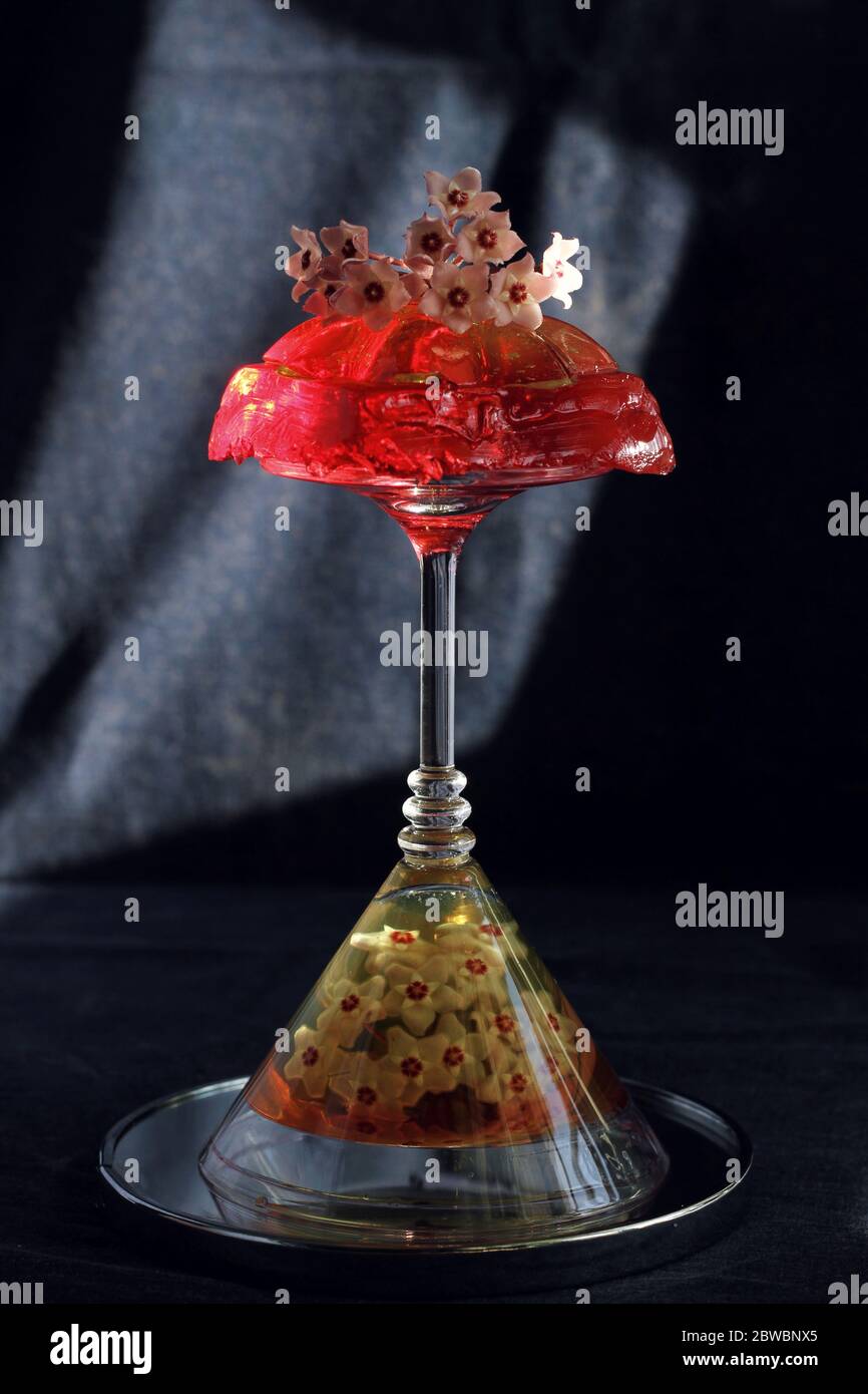 Sweet jelly dessert, design food, creative meals with vanilla flowers in dark mood on black background Stock Photo