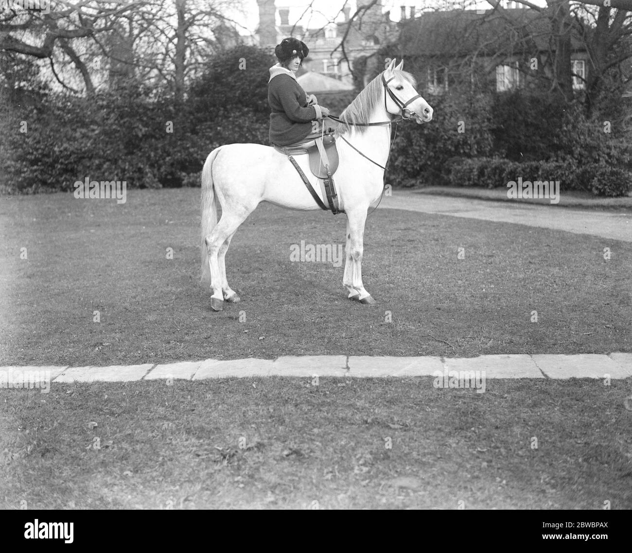 Crabbet park hires stock photography and images Alamy