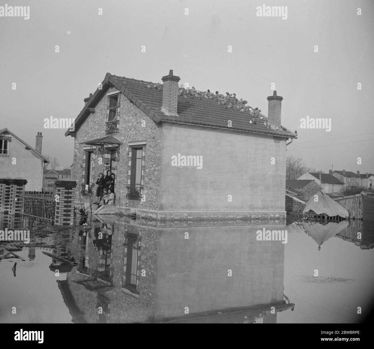 Paris and its suburbs under water . All the pigeons of the district hold a conference on the roof of a house at Choisy le Roi . 6 January 1924 Stock Photo