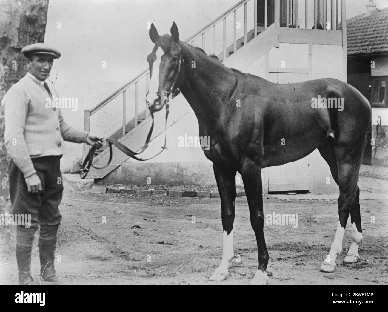 Will France capture the first of our big flat races ? Lustucru the foremost French candidate for the Lincolnshire Handicap , Photographed in his stable yard at Maisons Laffitte . 8 March 1926 Stock Photo