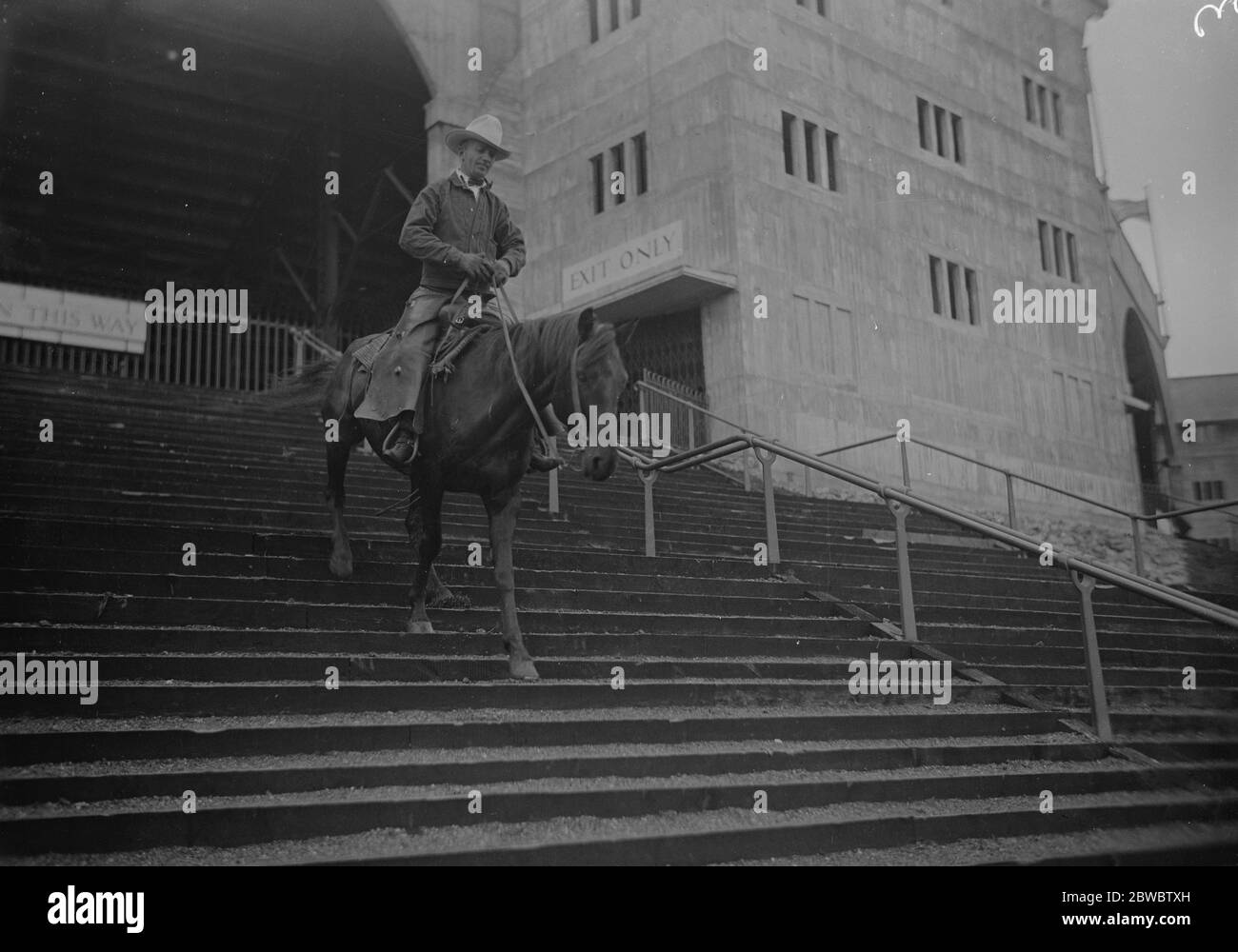 A clever cow horse at Wembley . A rodeo cowboy at Wembley showing the skill of his mount by walking down one of the flights of steps which lead from the stadium . 13 June 1924 Stock Photo