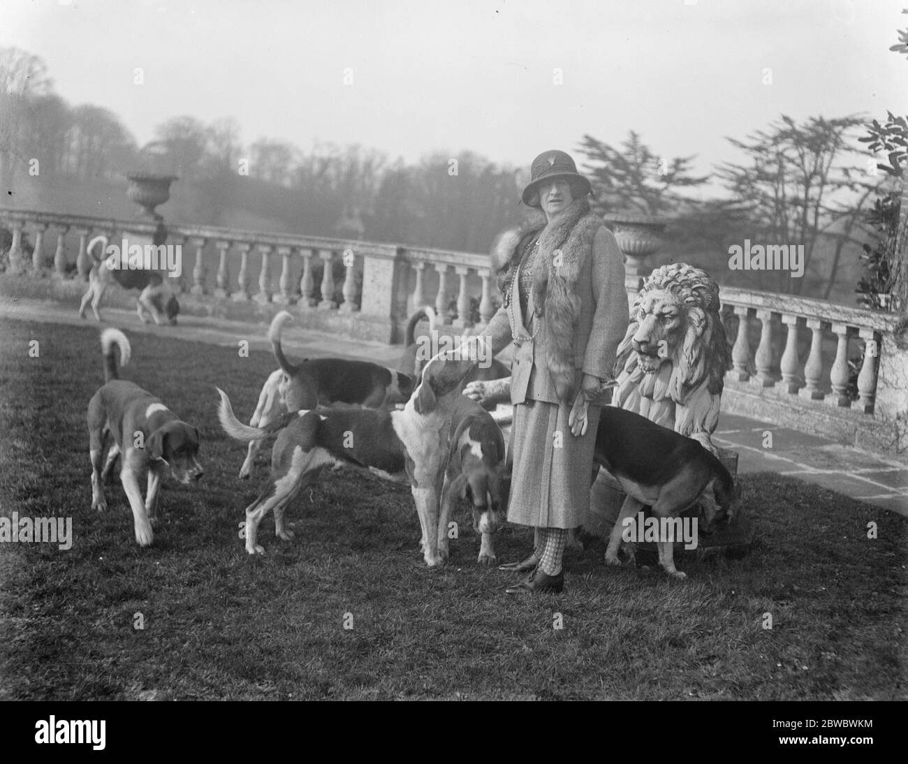 Meet of the Hertfordshire Hunt at Brocket Hall . Lady Nall Cain with the hounds . 12 February 1925 Stock Photo