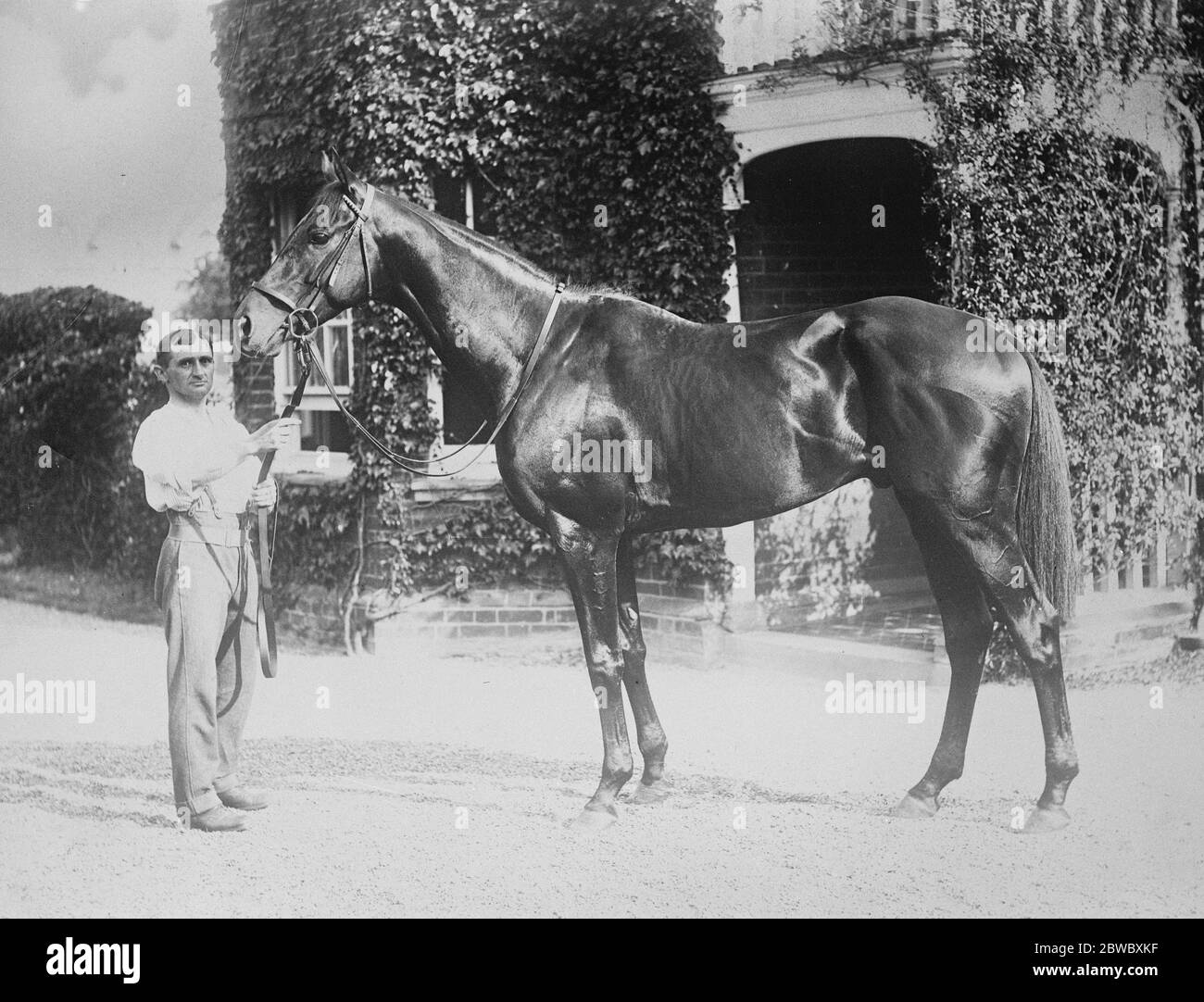England ' s champion stayer for the argentine ' Silurian ' , England ' s champion stayer , which was purchased by Captain Tanner from Lord Derby for an Argentine buyer , and which is now on the way to that country , where it will race before being used for stud purposes 23 October 1923 Stock Photo