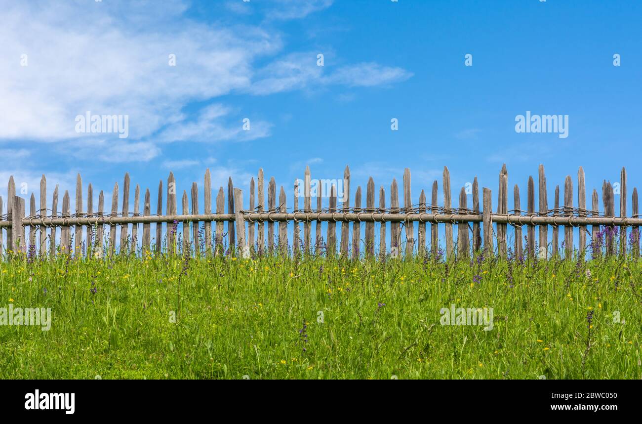 Green grass sunny sky hi-res stock photography and images - Alamy