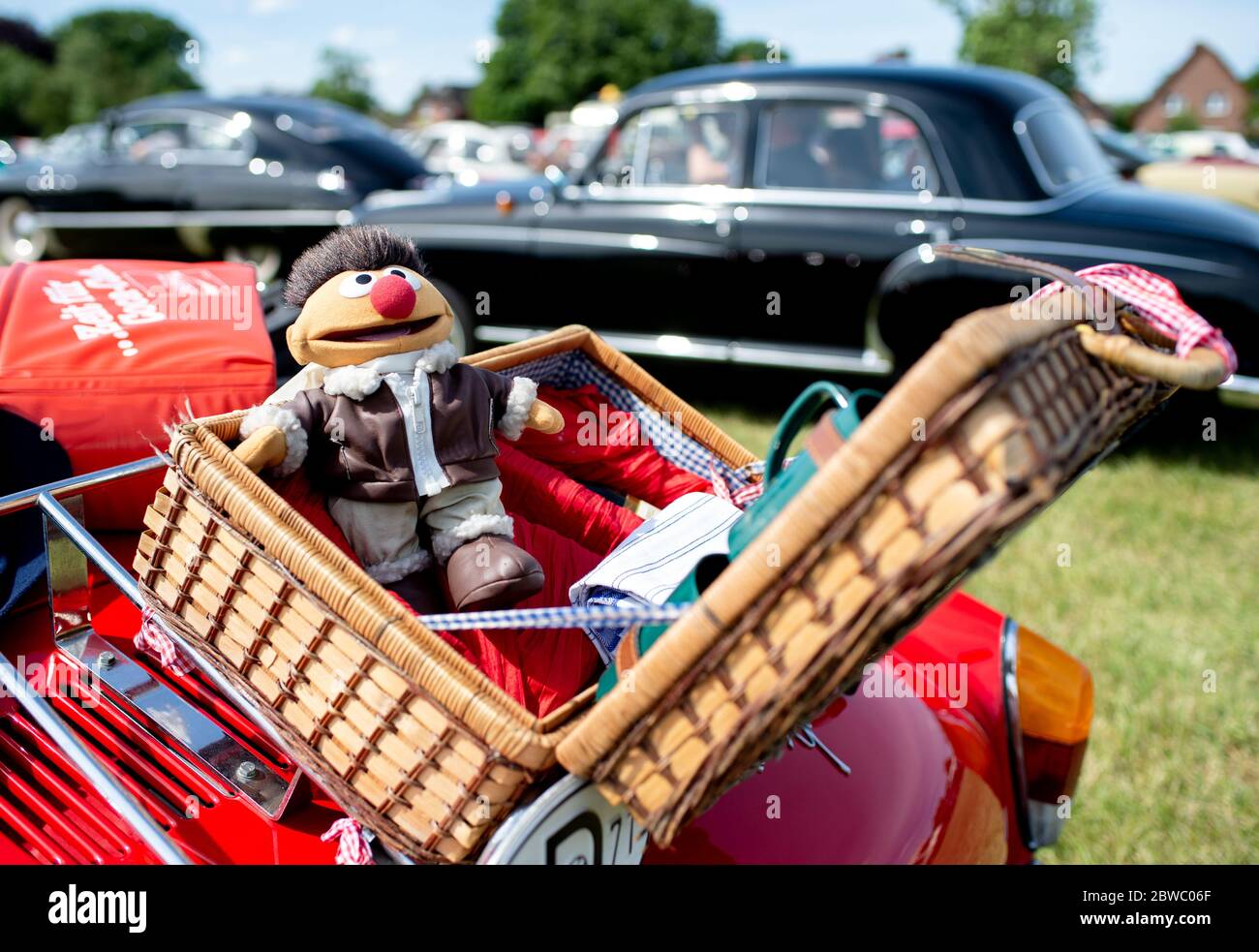 Hude Germany 31st May 2020 The Figure Ernie Known From Sesame Street Sits In The Provisions Box Of A Vintage Car On The Premises Of A Drive In Cinema In The Wusting District