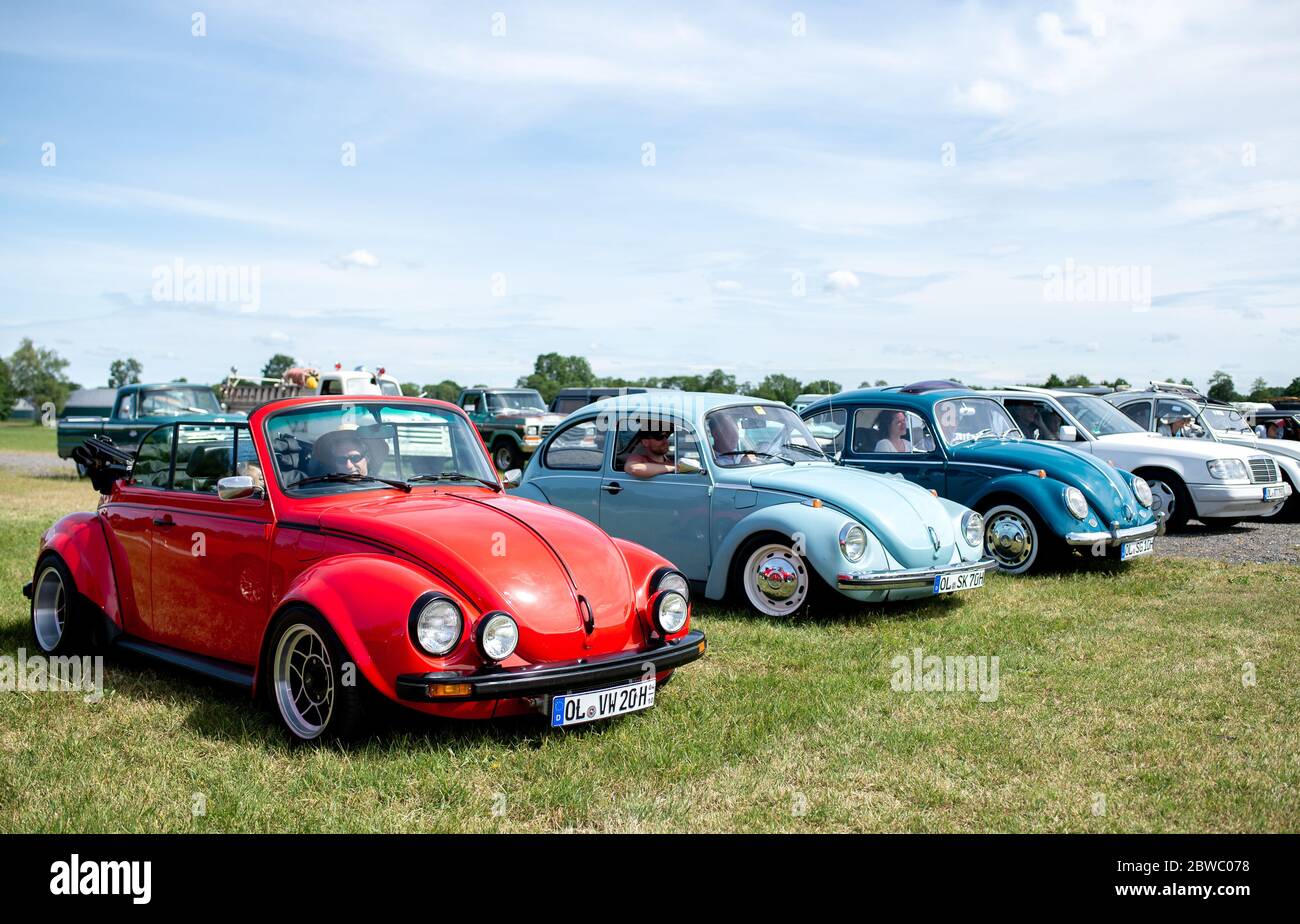 Hude Germany 31st May 2020 Oldtimers Of The Vw Beetle Type Are Parked On The Grounds Of A Drive In Cinema In The Wusting District Several Hundred People In Their Oldtimers Youngtimers And
