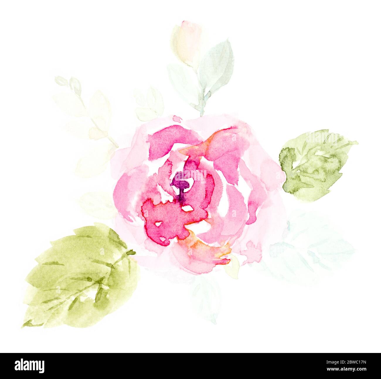 Hand painted watercolor bouquet flowers on a white background. Rose ...