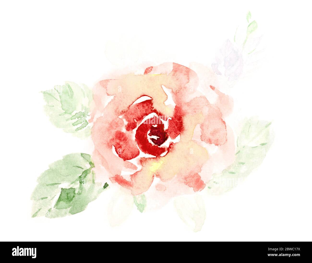 Hand painted watercolor bouquet flowers on a white background. Rose ...