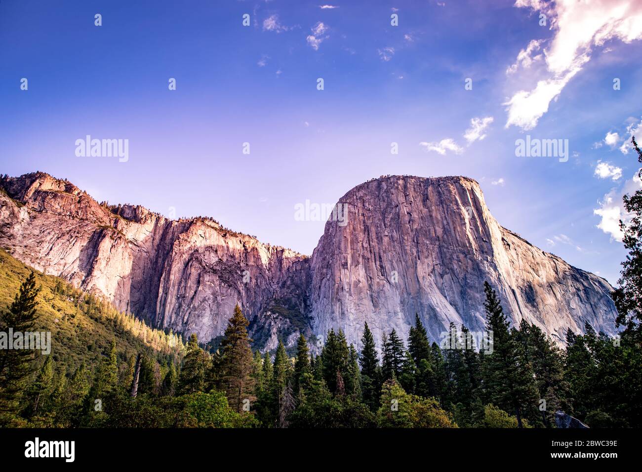 World famous rock climbing wall of El Capitan, Yosemite national park, California, usa Stock