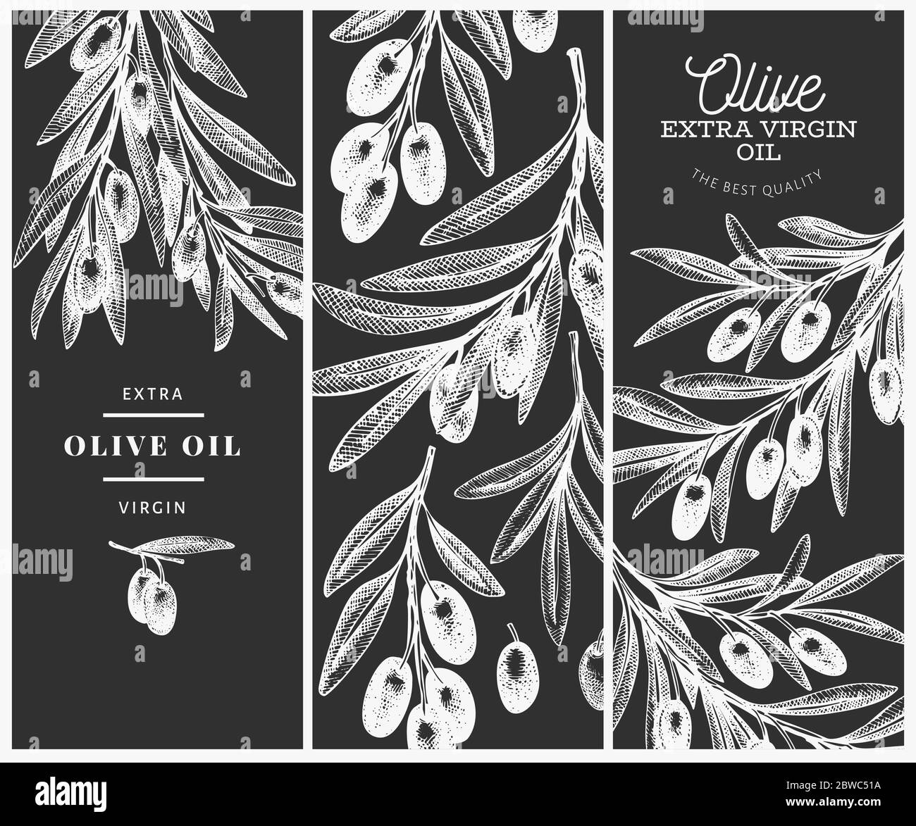 Olive branch design template. Hand drawn vector food illustration on ...