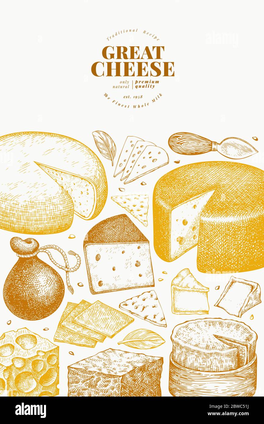 Cheese design template. Hand drawn vector dairy illustration. Engraved ...