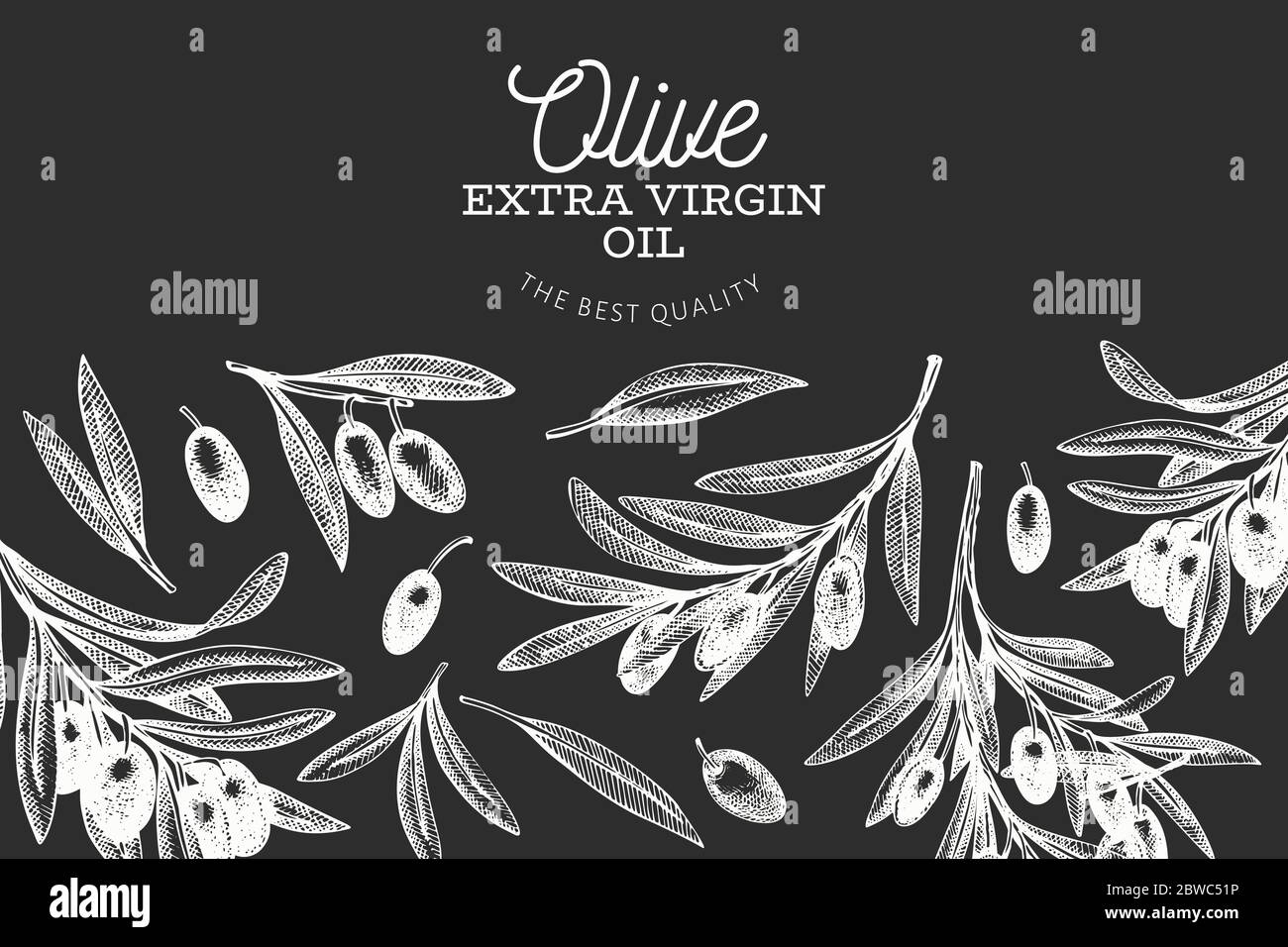 Olive branch design template. Hand drawn vector food illustration on ...