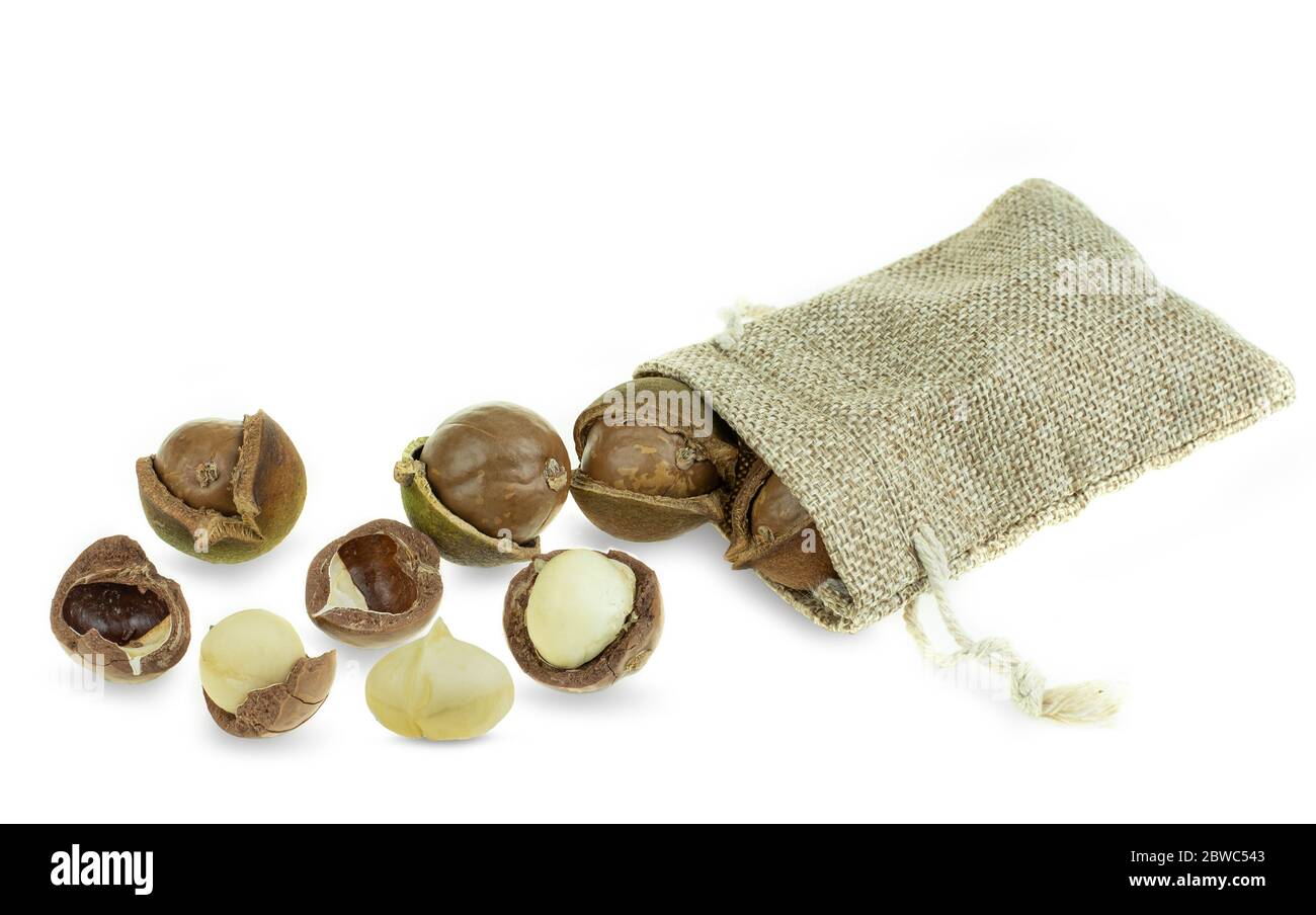 Macadamia Nuts Tree High Resolution Stock Photography And Images Alamy