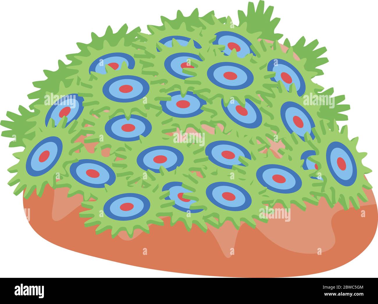 Coral icon, isometric style Stock Vector