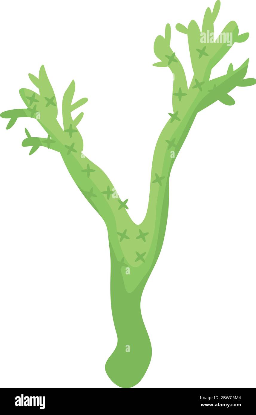 Green coral icon, isometric style Stock Vector