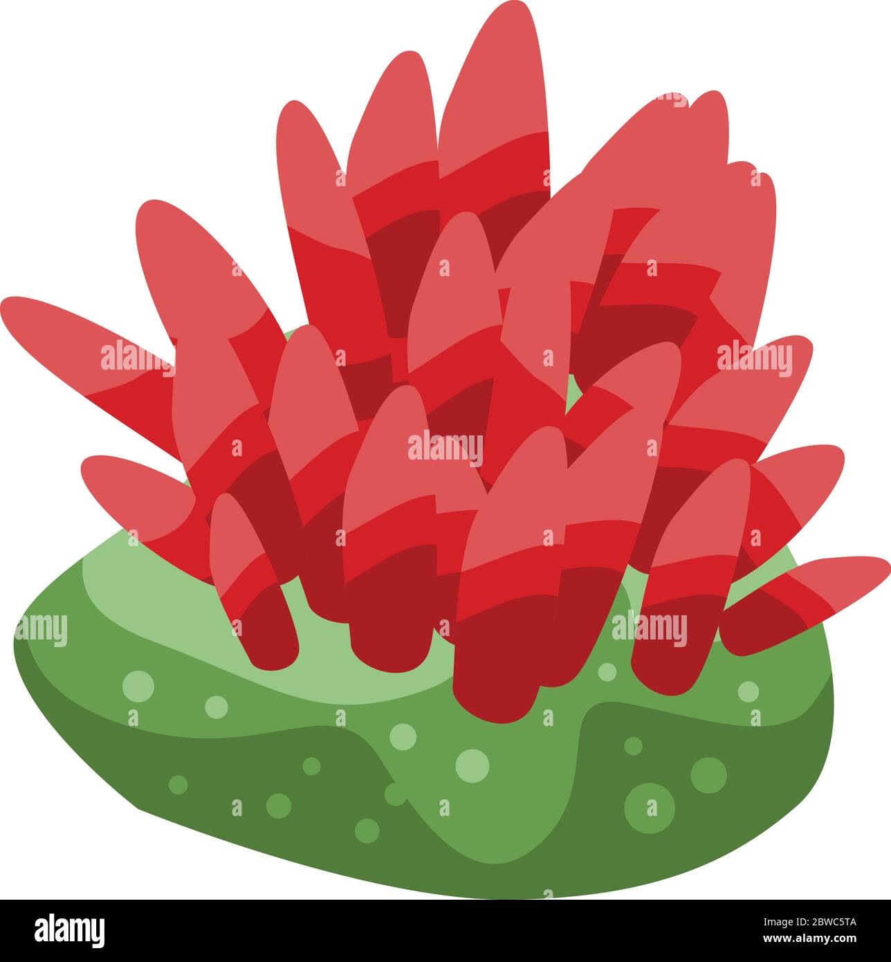 Sea coral icon, isometric style Stock Vector