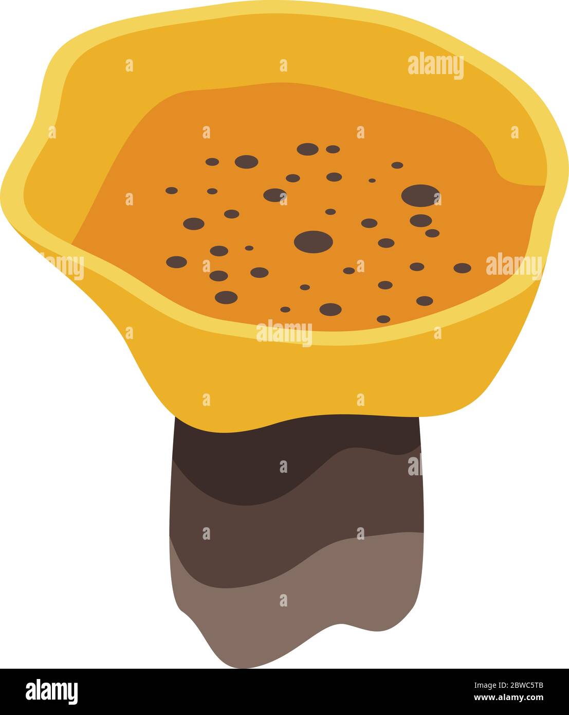Water coral icon, isometric style Stock Vector