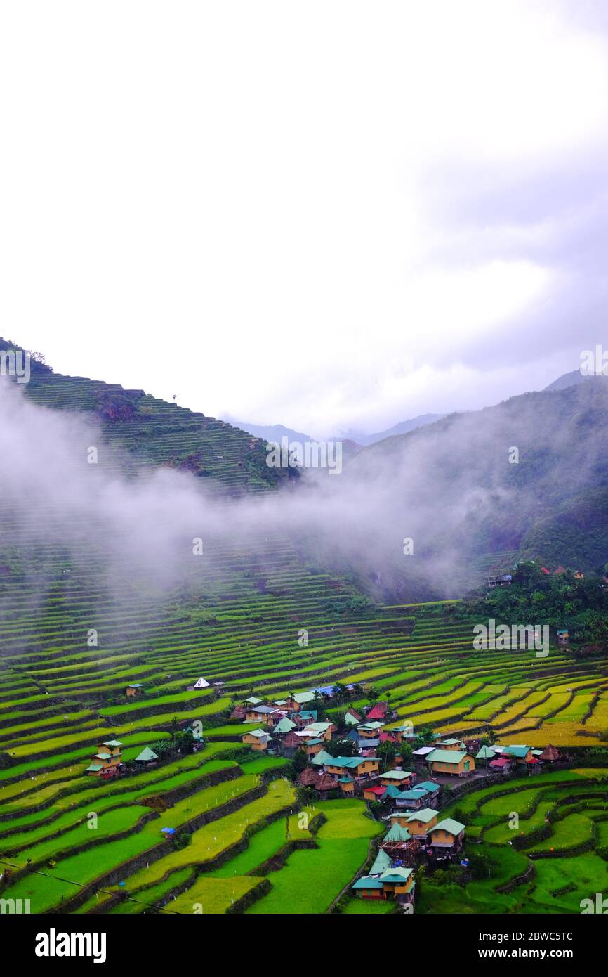 Beautiful portrait vertical shot of Batad Rice Terraces in Banaue
