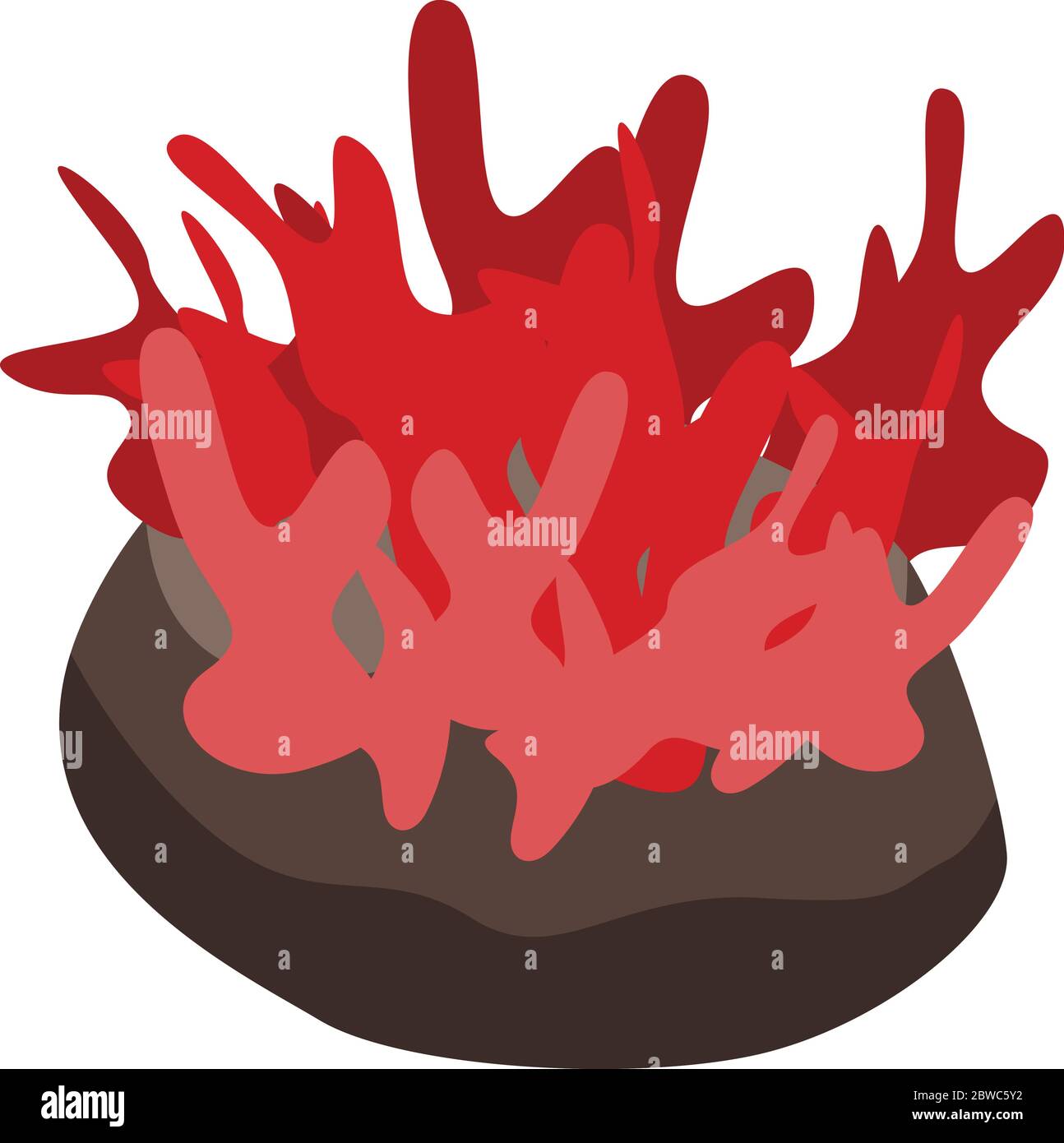 Algae coral icon, isometric style Stock Vector