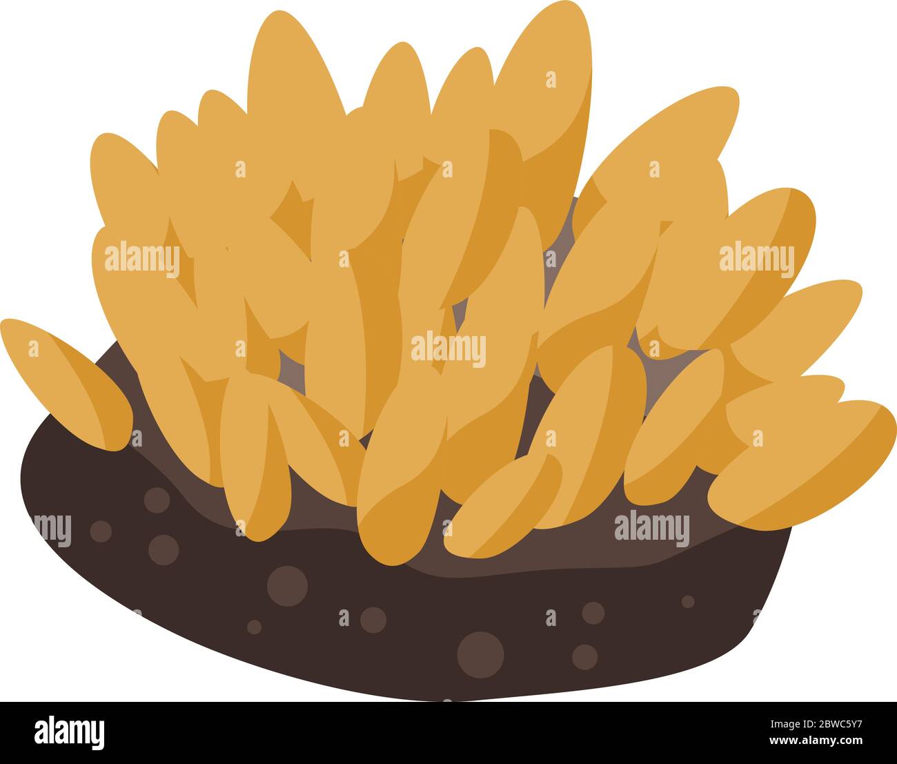 Marine coral icon, isometric style Stock Vector