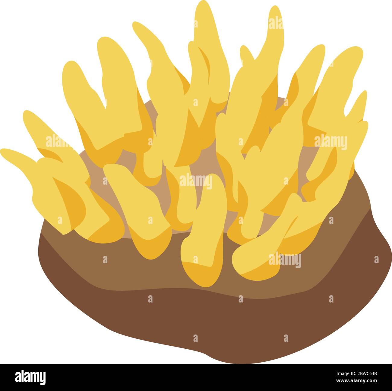 Travel coral icon, isometric style Stock Vector