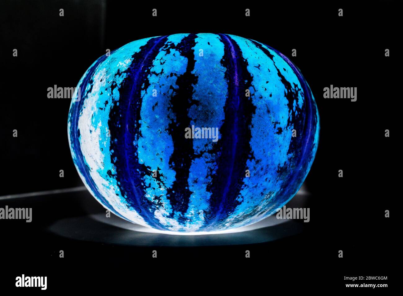 A picture of muskmelon Stock Photo Alamy