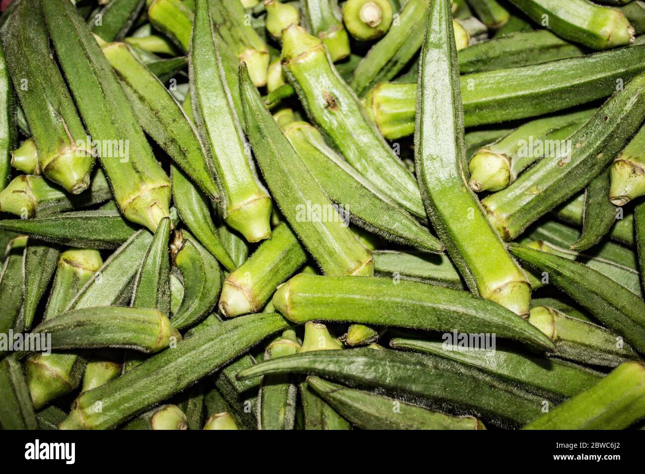 A picture of ladyfinger Stock Photo Alamy