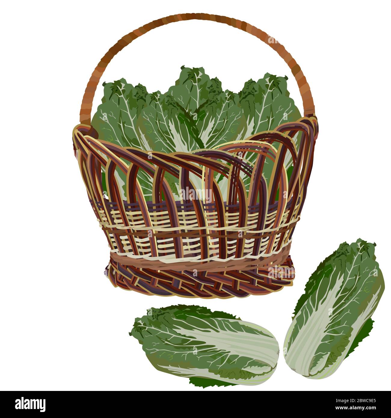 Chinese wicker basket Stock Vector Images - Alamy