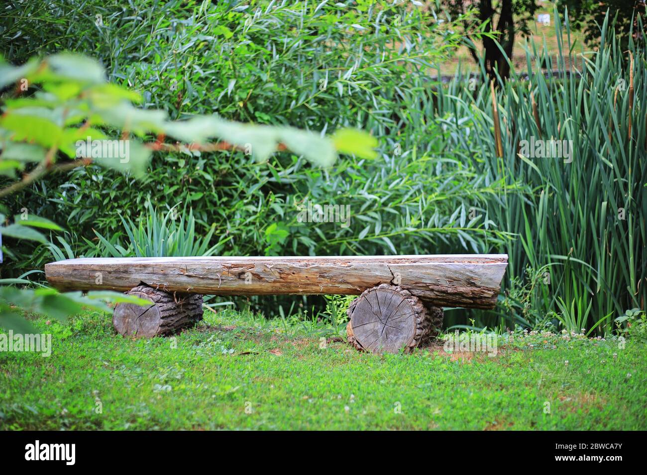 Wooden bench in the garden in nature wabi-sabi style Stock Photo