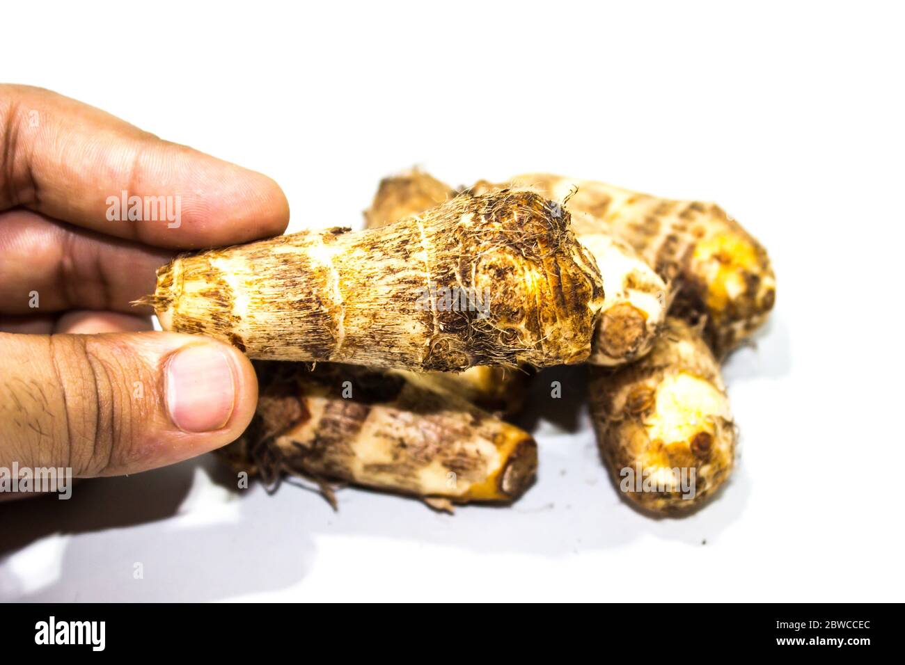 A picture of taro roots Stock Photo Alamy