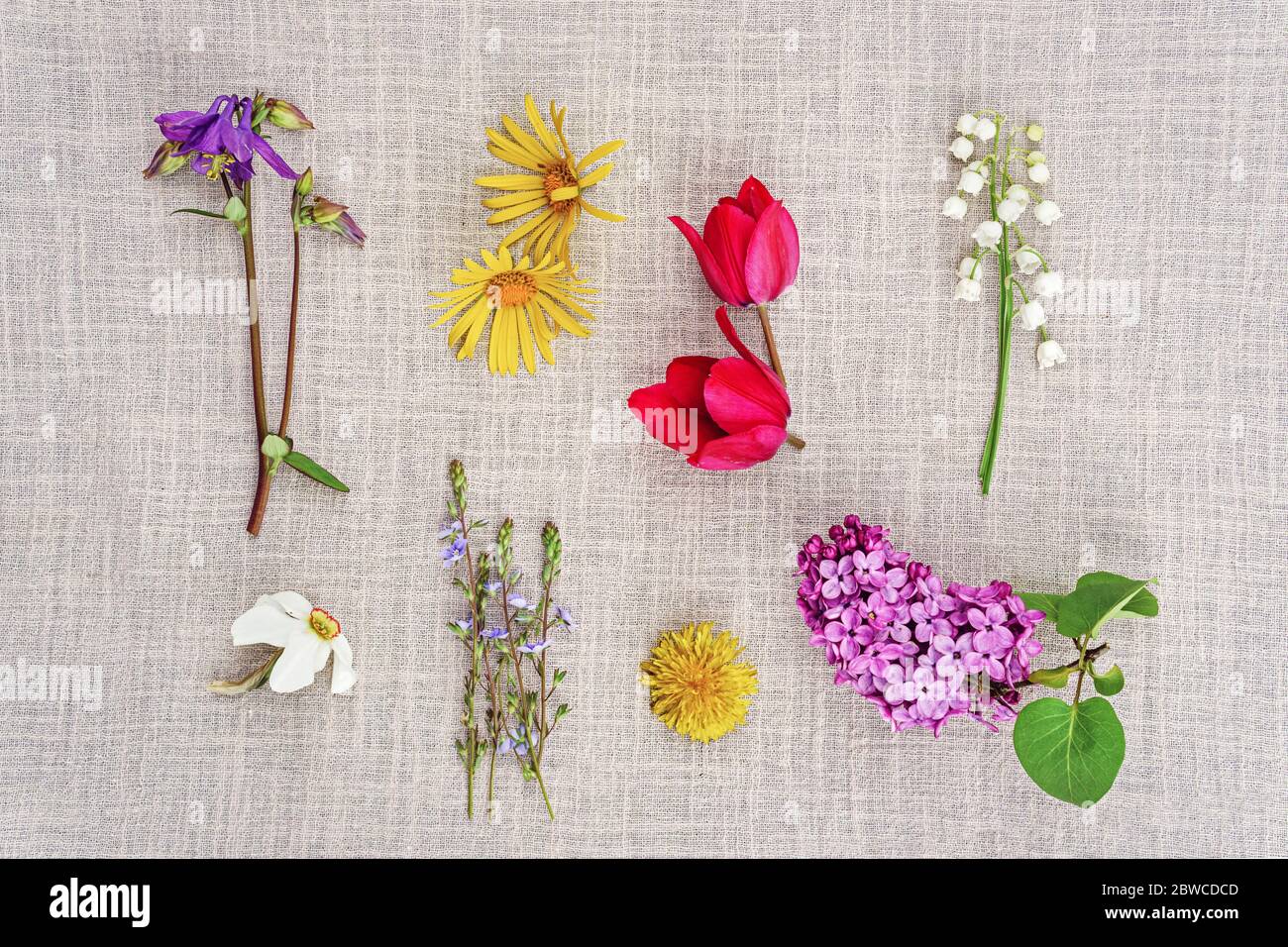 Various flowers on fabric Stock Photo