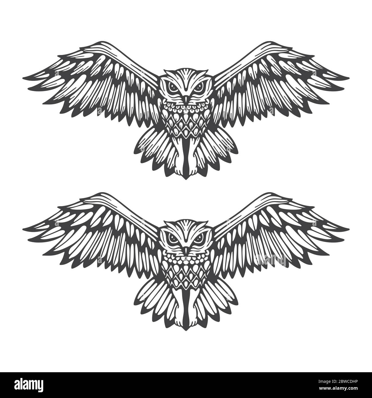 Owl. Flaying owl hand drawn vector illustration. Owl attack sketch drawing. Part of set. Stock Vector