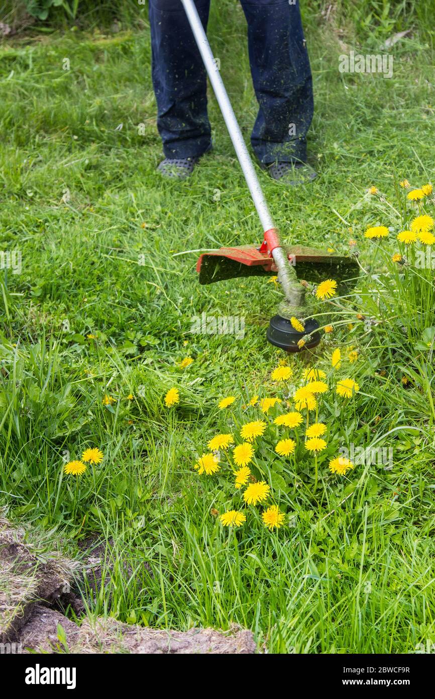 a worker mows grass and weeds with a lawn mower in the country Stock Photo