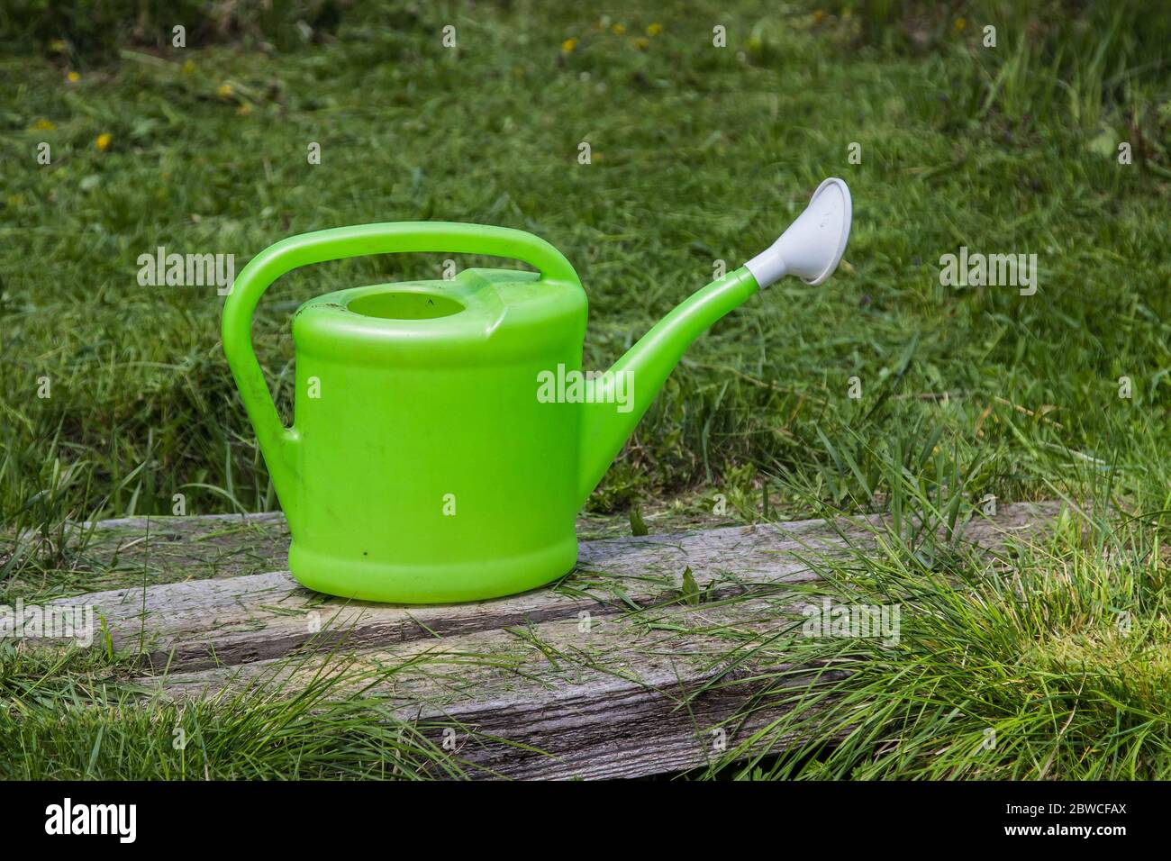 Green watering can stands on the ground for working in the garden and garden in the summer Stock Photo