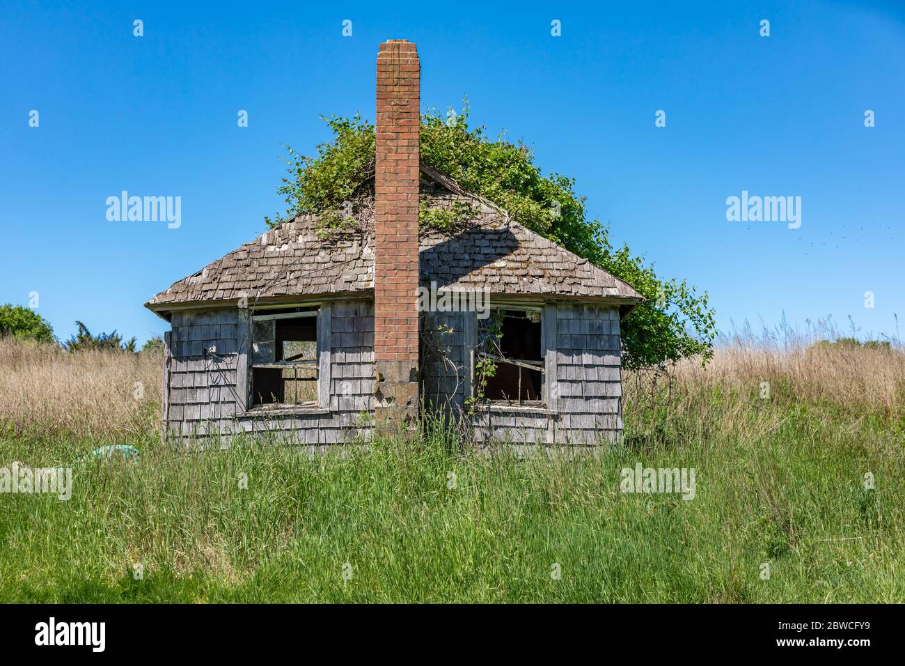 Old small farm house overgrown and falling down in the Hamptons Stock Photo