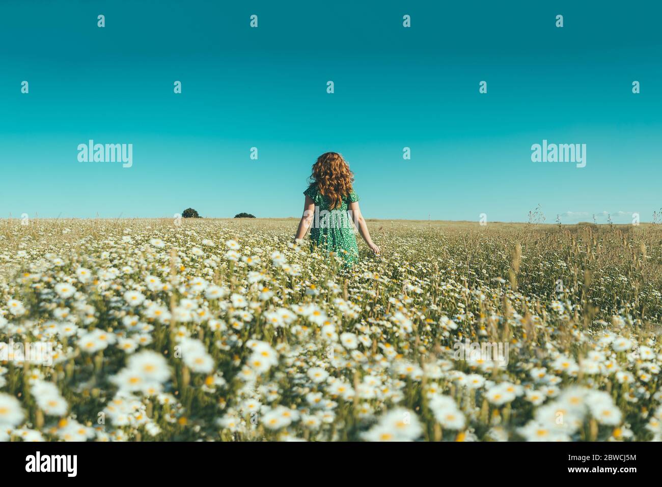 woman on her back with open arms in a field of daisies Stock Photo