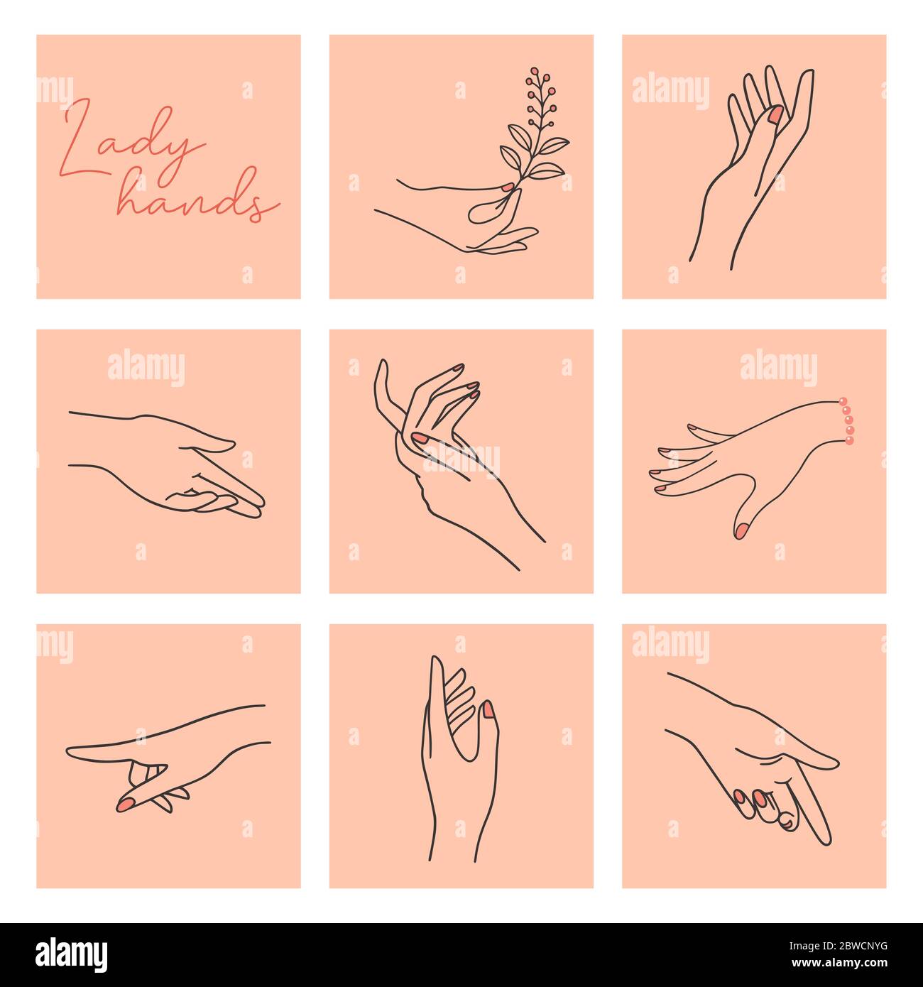 Womens hands with different gestures and in different positions are drawn in a linear style and isolated in the background. Stock Vector