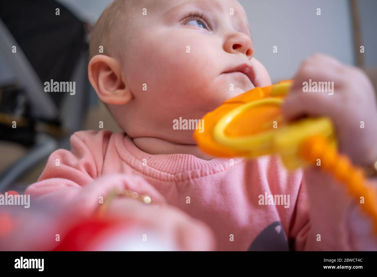 circle baby walker