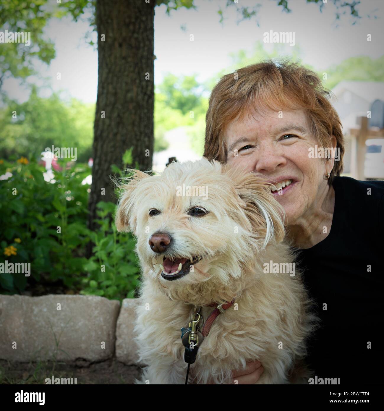 Closeup Old Woman Dog Hi res Stock Photography And Images Alamy closeup-old-woman-dog-hi-res-stock-photography-and-images-alamy