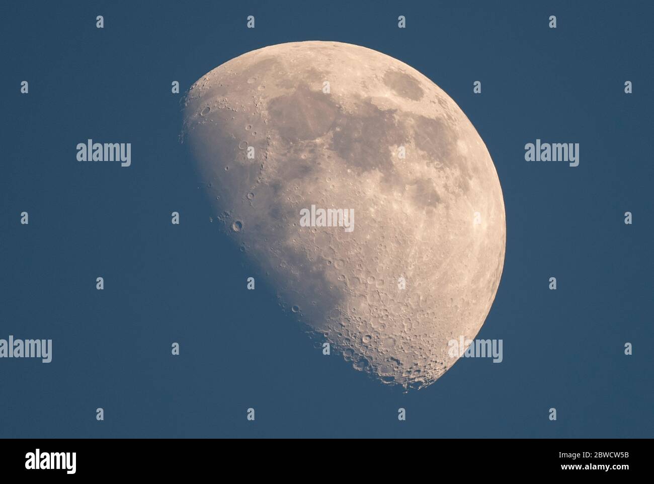 London, UK. 31 May 2020. Waxing gibbous moon directly overhead in clear evening sky over London with the prominent crater Copernicus visible at the terminator to left of centre. Credit: Malcolm Park/Alamy Live News Stock Photo