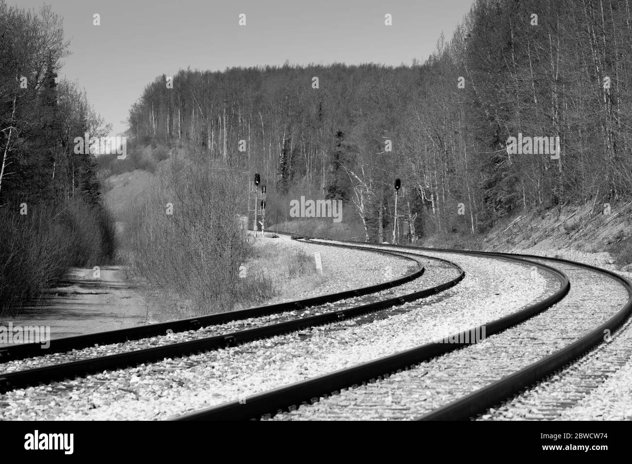 Curves of the railroad through the Alaskan forest. Stock Photo