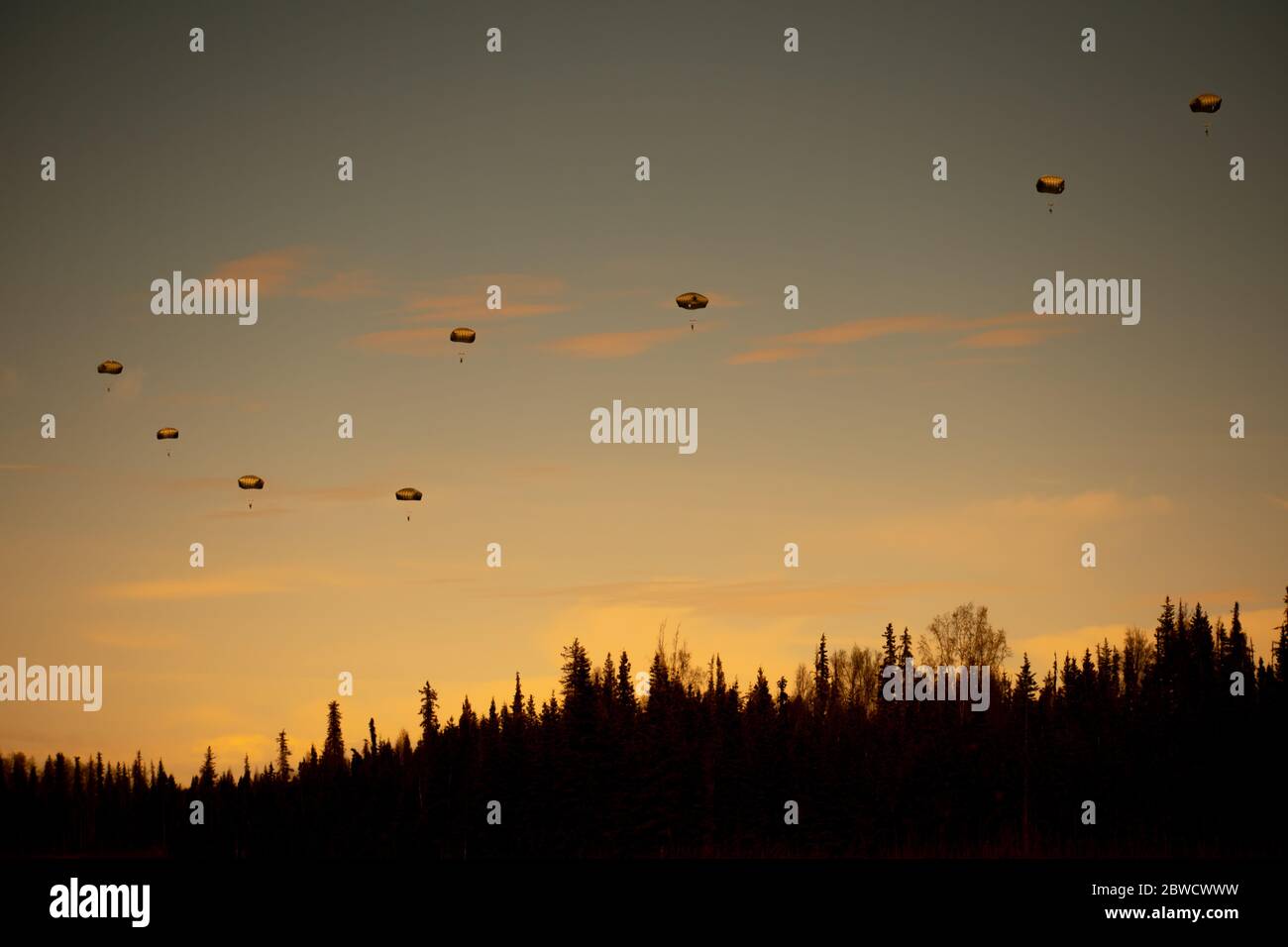 Paratroopers decesend over the Alaskan forest. Stock Photo