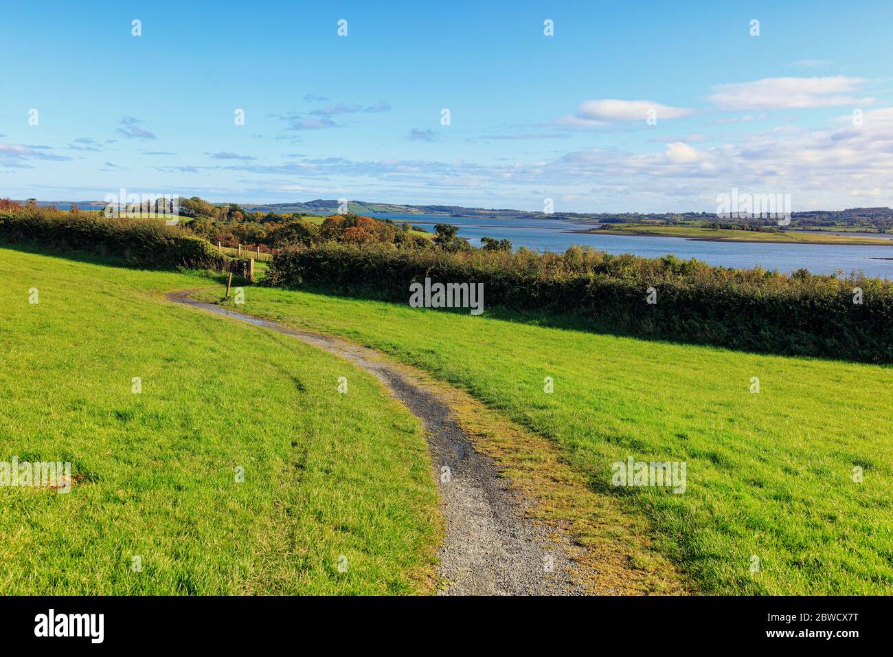 Delamont country park hi-res stock photography and images - Alamy